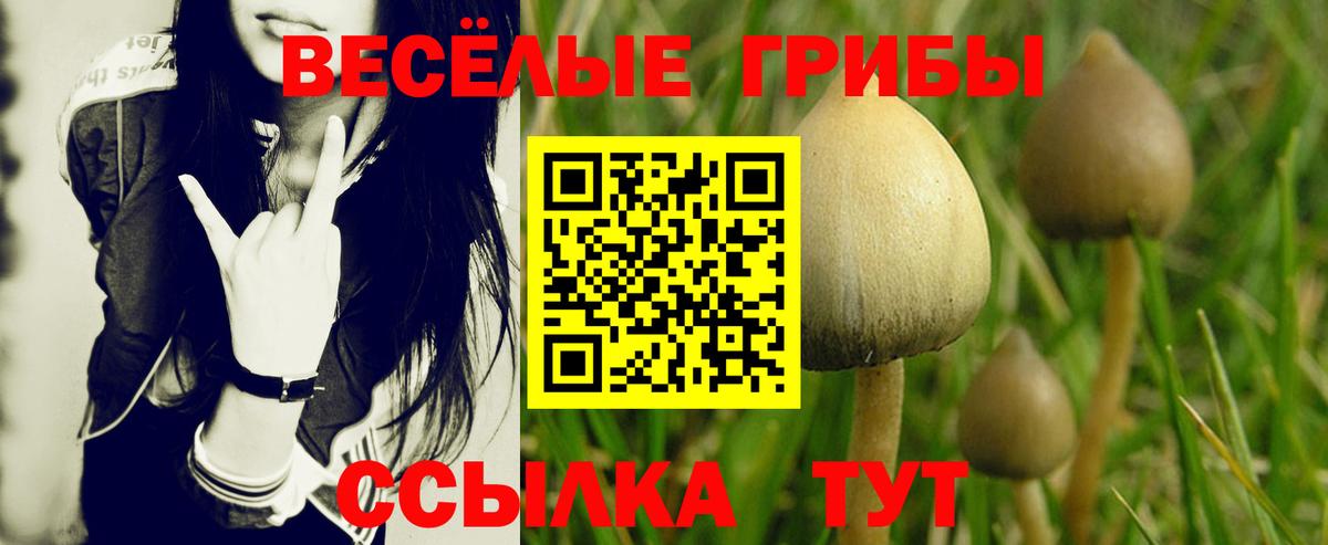 Псилоцибиновые грибы Magic Shrooms  Вход с VPN  Белгород 