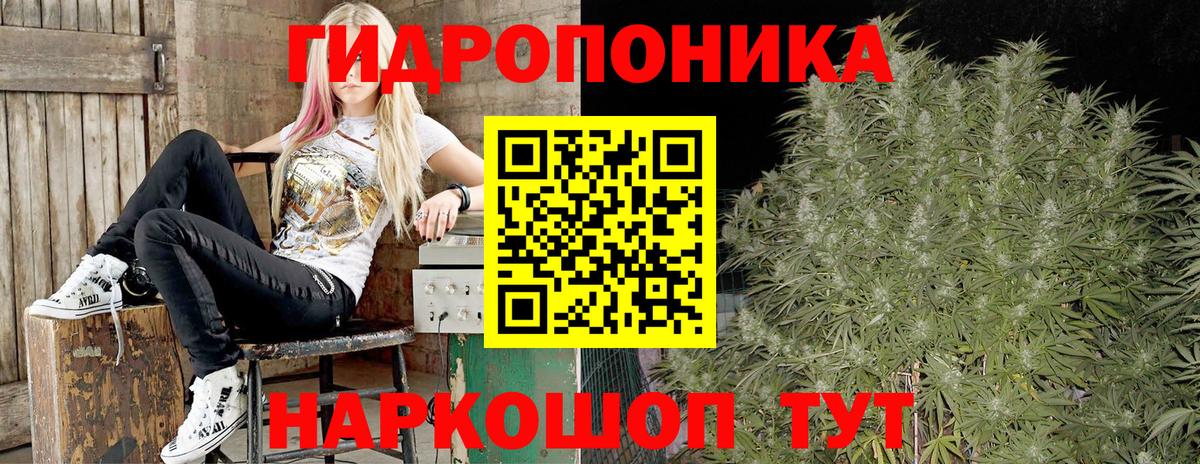 Шишки марихуана конопля Белгород